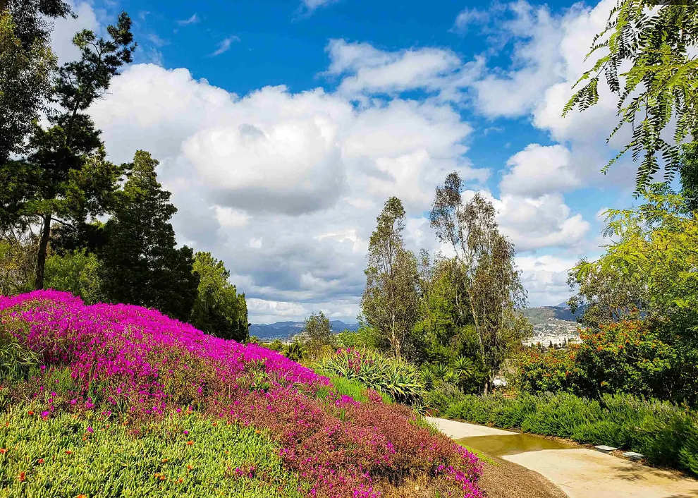 Spectacular, spacious 4-Bedroom Home in Desirable Fletcher Hills property image